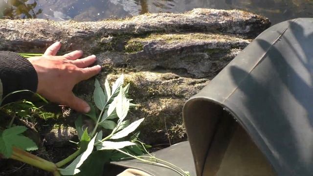 134 Серия Тут Ловил 4 Рыбы Хариуса с места Удочка Поплавок Тайга, Скользкие Камни Осторожно Даугли