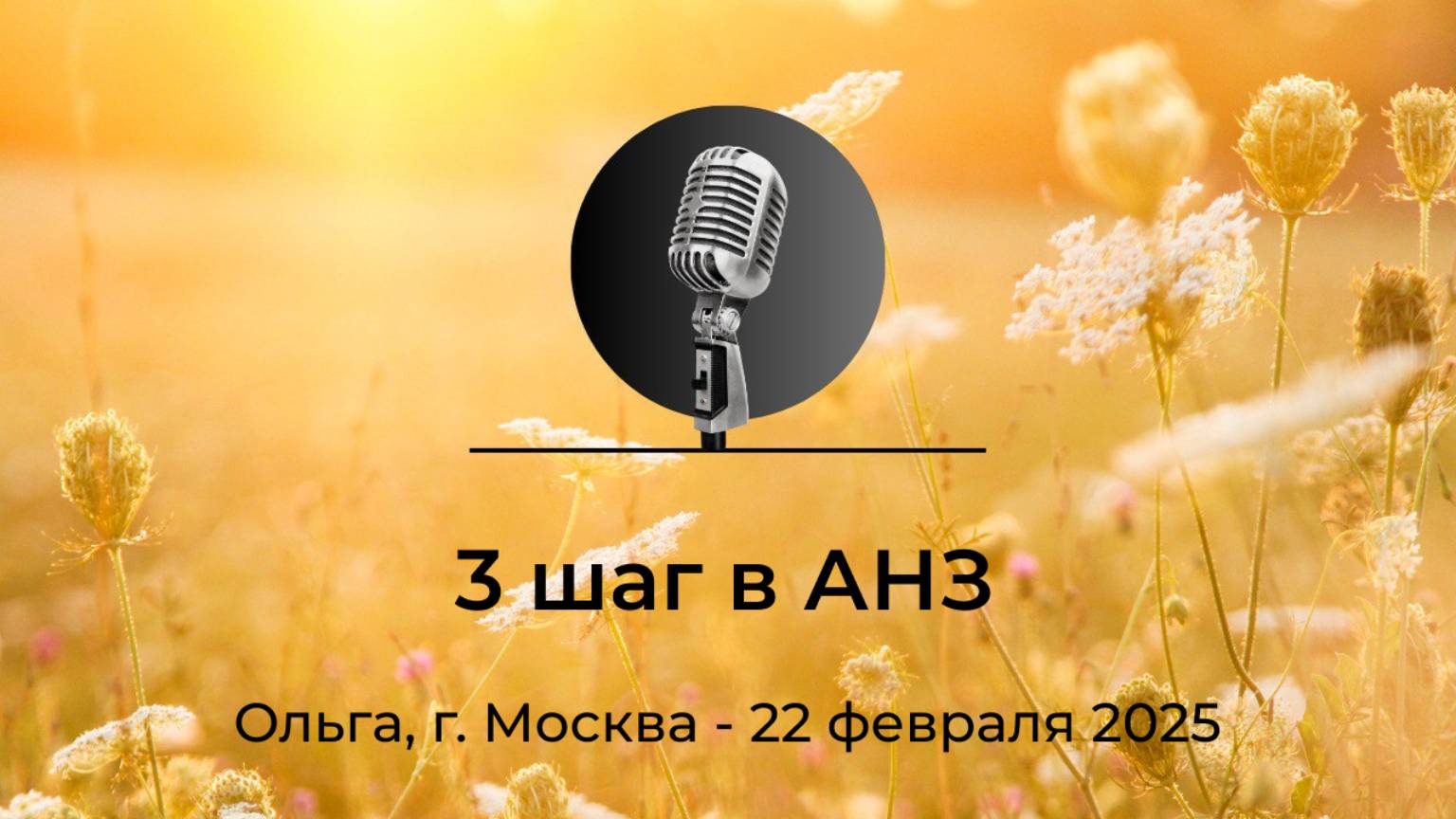 Спикерская АНЗ "3 шаг в АНЗ", Ольга, г. Москва, 22 февраля 2025 года