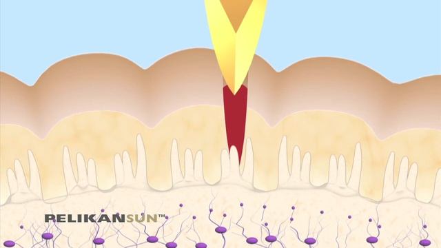 Pelikan Sun Technology Animation