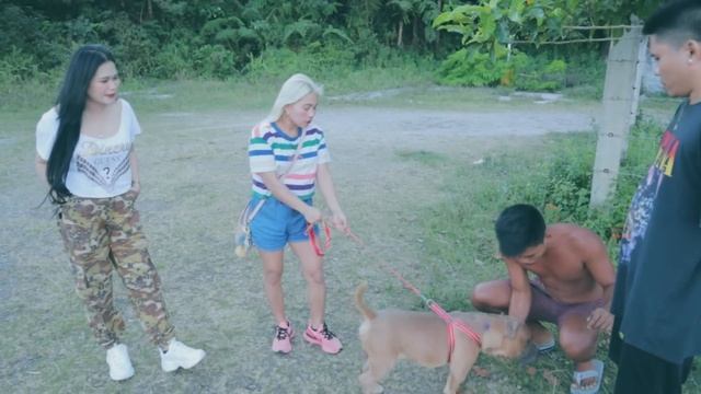Pahambogay Ug Ero | Vic Desucatan