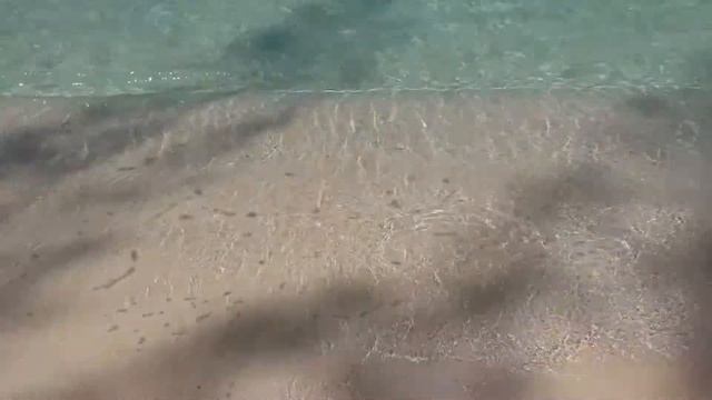 Mini ASMR Beach in Grand Cayman