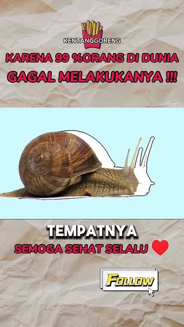 Bekicot raksasa || siput 😱 #shorts