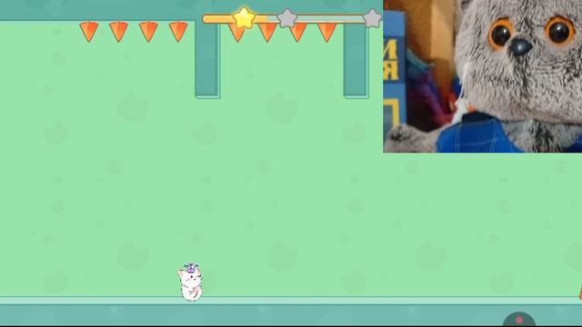 БАСИК ИГРАЕТ? / cat dash/мы вернулись