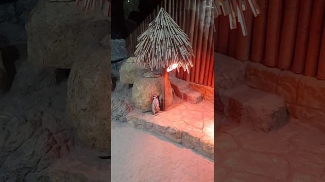 Воронежский зоопарк. Чась 1.