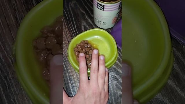 Обзор на влажный корм для собак от фирмы:"Dog's Menu".❤️🐕🥰