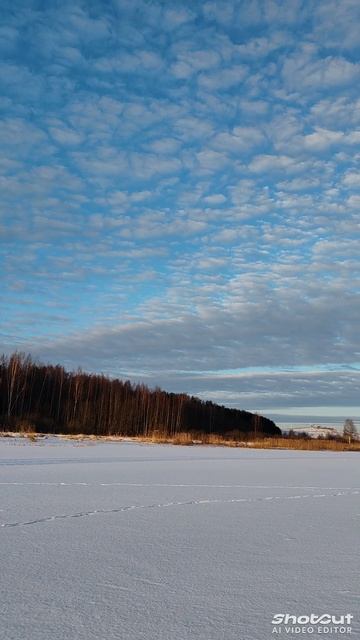 Перьевое утро, рассвет ❤️