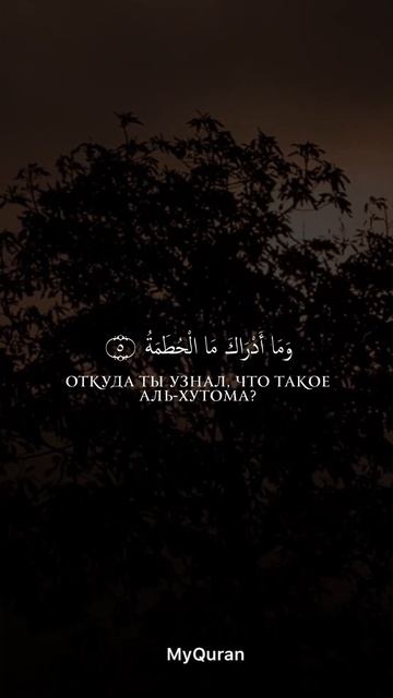 Красивое чтение Корана чтец:Ахмад Аль-Аджми  сура:Аль-Хумаза аяты:1-9 #quran #youtubeshorts