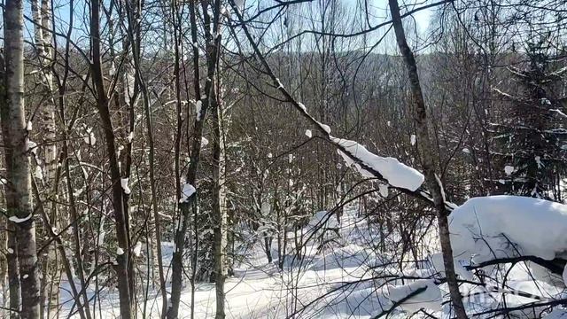 Заправляем солонцы для зайцев