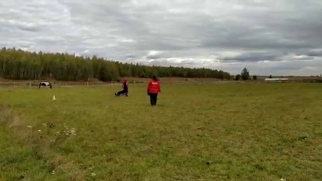 Афия БХ