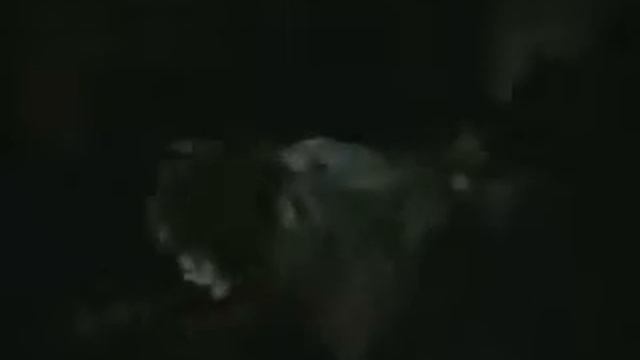 'Ворон   '