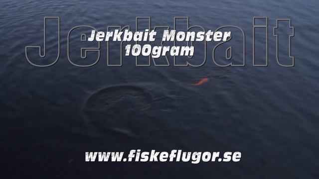 Jerkbait Monster 100gram 21cm