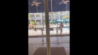 EMBASSY SUITES BY HILTON ORLANDO LAKE BUENA VISTA RESORT