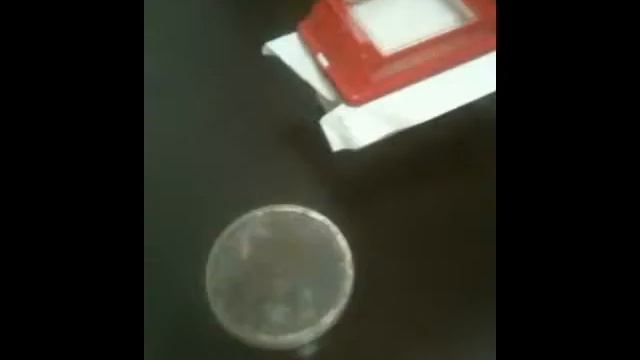 change the larva`s food 23-nov-2013 (Phalacrognathus muelleri)