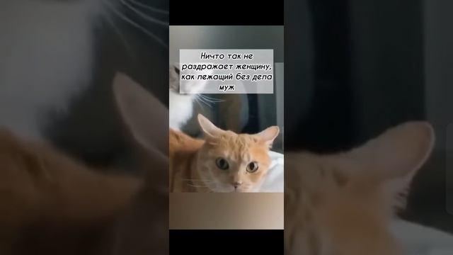 Выходной дома