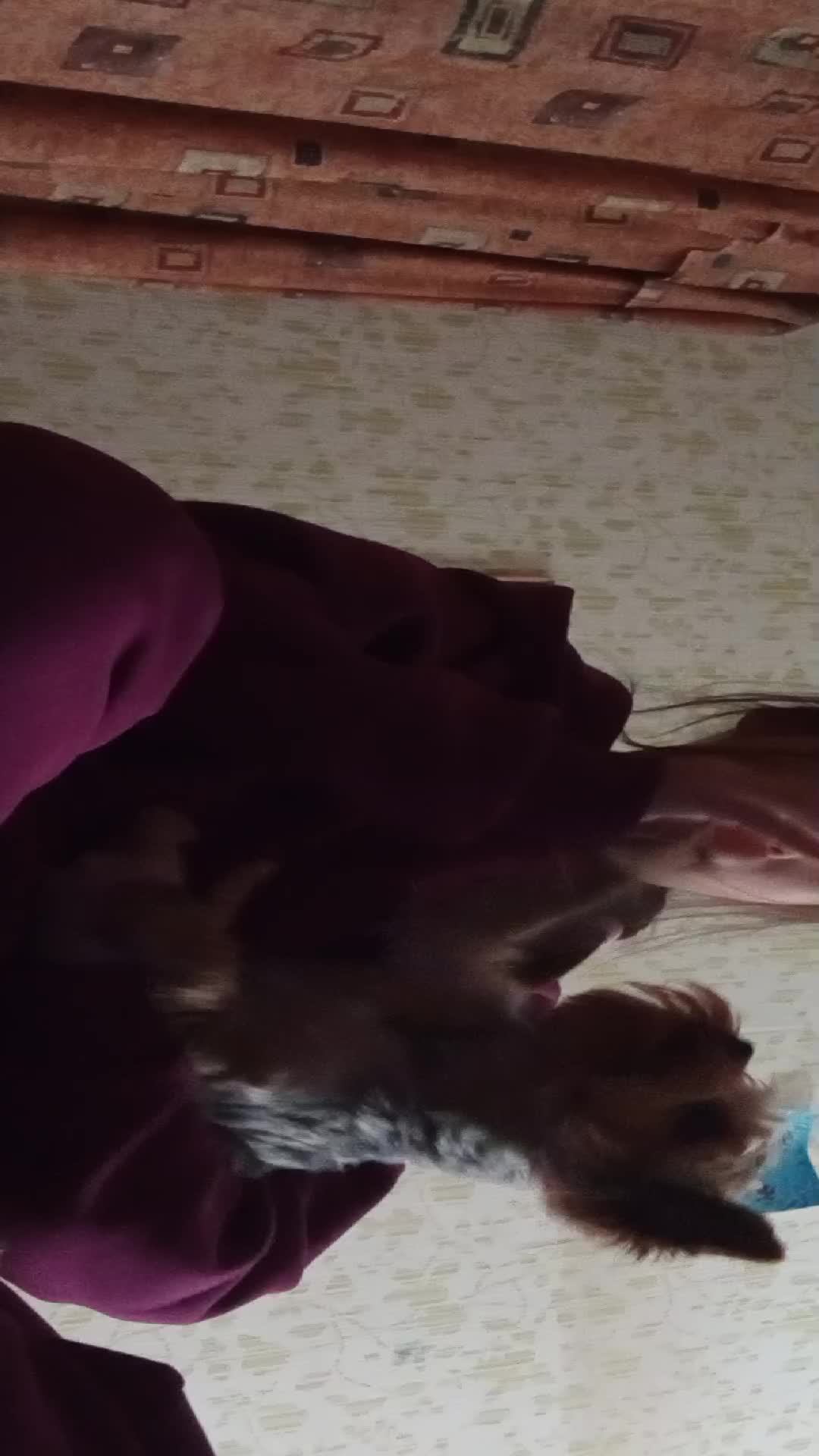 страдаю фигнëй
