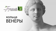 Кольца Венеры: причины, методы коррекции и профилактика
