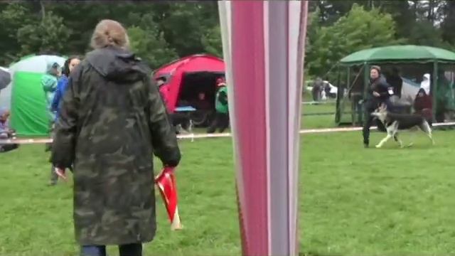 Сравнение КПром