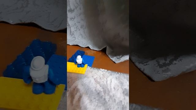 жизнь кота Чаки и его друга Олега