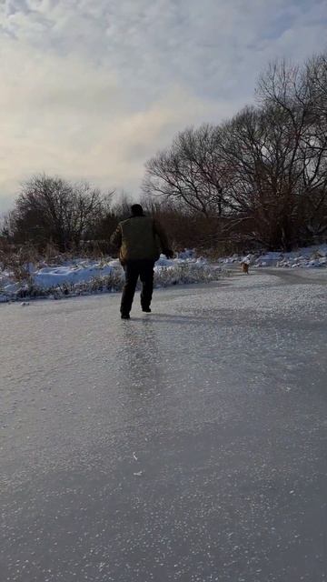 Кот украл рыбу у рыбака, котэ ловкий  #shorts