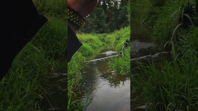 🐍 ВЫДИРАЮ РЫБУ ИЗ ДЖУНГЛЕЙ