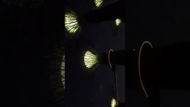 S KoT S   Сингапур сверх крутое шоу из сада будущего MarinaBay kiBo