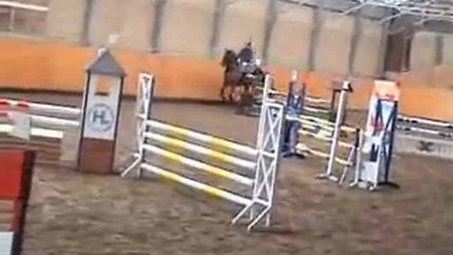 Showjumping with a 6 year old gelding (sire: Cortus damsire: Opius) 1,1o meter (clear round)