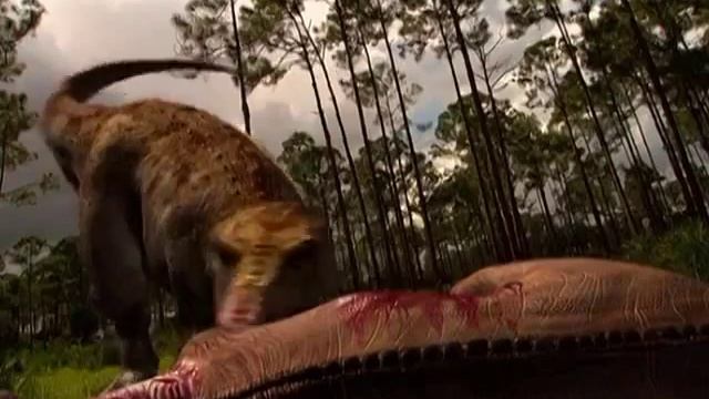 Tiranosaurus Rex is hunting an Anatotitan .