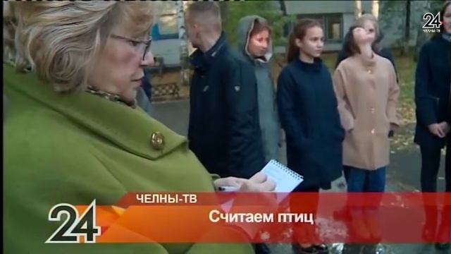 Считаем птиц