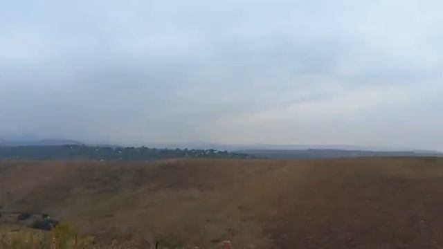 Алматы предгорье лошади