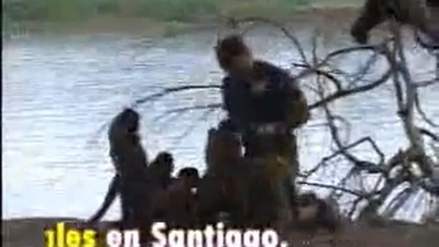 Luis Andaur - Monos lanudos