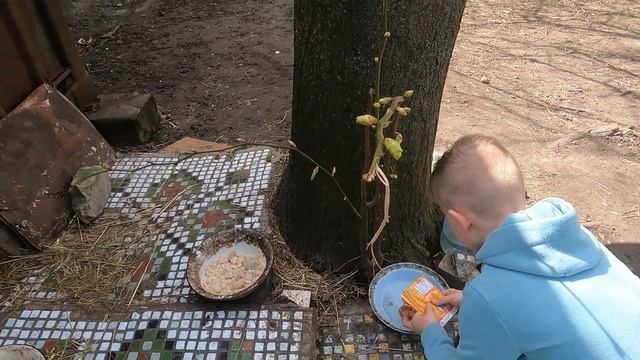Вышел во двор покормить котов)))