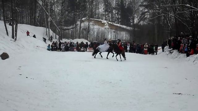 КСК "Форпост": фриз и ахалтекинец в Токсово