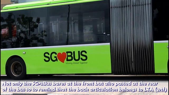 Bus Guides! Euro 5 MAN NG363F A24 Gemilang