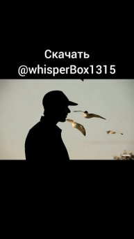WhisperBox1315 новая анонимная платформа!