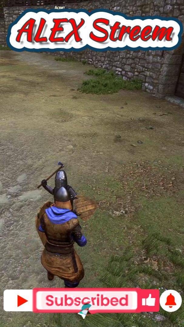 Мелкий отмрозок Mount & Blade II