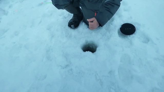 12 марта 2023 г.