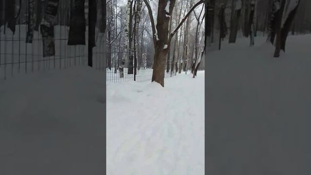 VID-20250221-WA0029