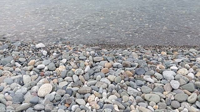 Черное Море 2024