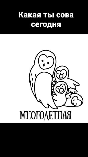 какая ты сова сегодня? #сова