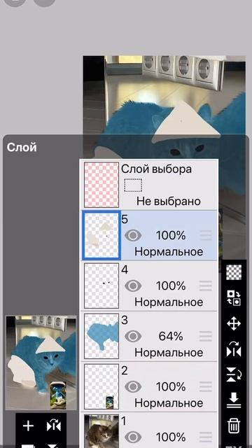 Мася-Шайлушайся #эдит #Мася #котик #животные #приколы #шайлушай