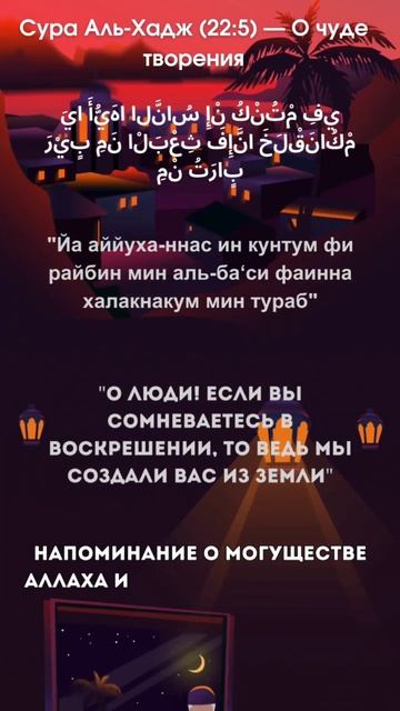 Сура Аль - Хадж. (22:5)