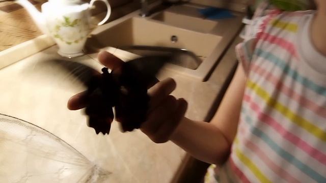 у меня баттерфлайс!