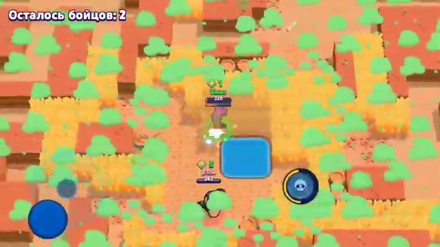 Первое видео Енота!
