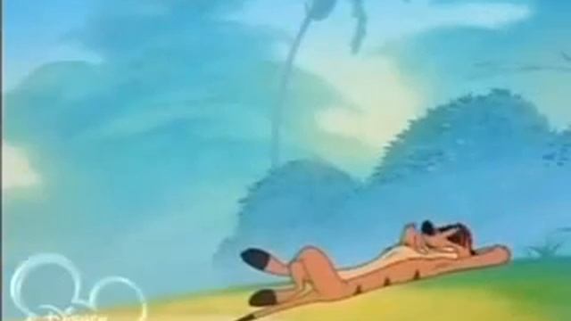 Watch Timon & Pumbaa Episode 024b   Congo on Like This Online Free   Cartoon Online   KissCartoon 2