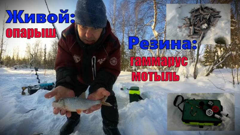Мой улов на этот раз не плохой.