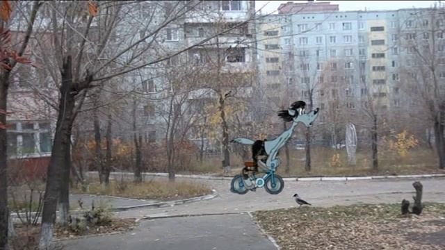 035. Детский сад №122. Золотая осень.