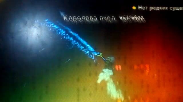 ПРОХОЖДЕНИЯ БОССА КОРОЛЕВА ПЧЁЛ