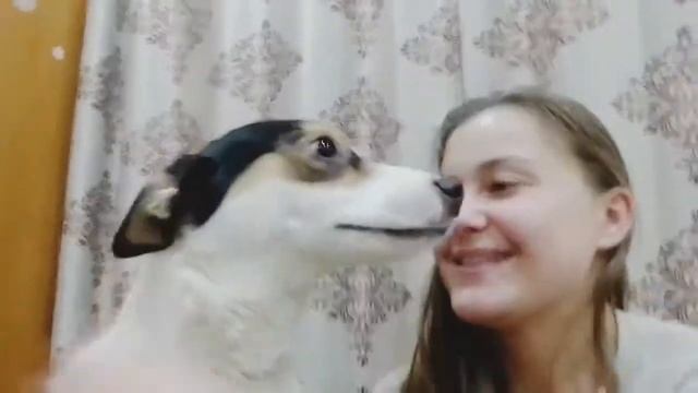 Dog Really Loves Hugging Mom / catkotes2