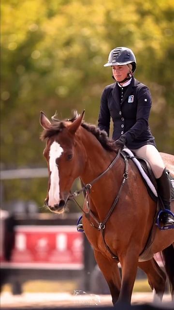 I’m kind of in love with this war bridle