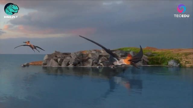 Meet the Pterodactyl from Jurassic Period